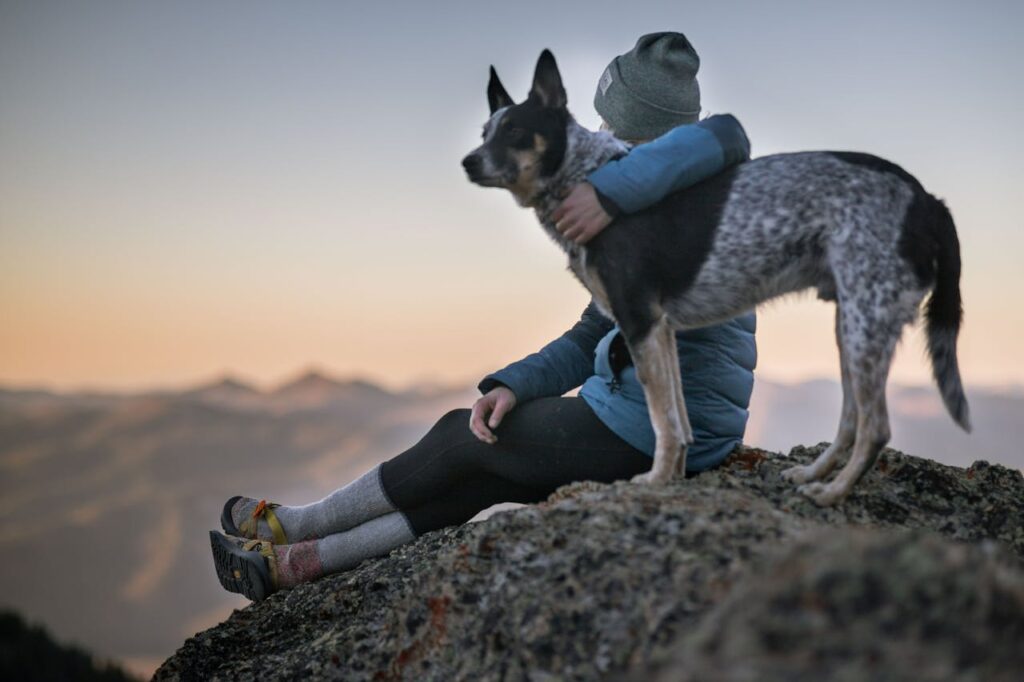Hund Frau Berg Outdoor Was deckt eine Hundeversicherung ab