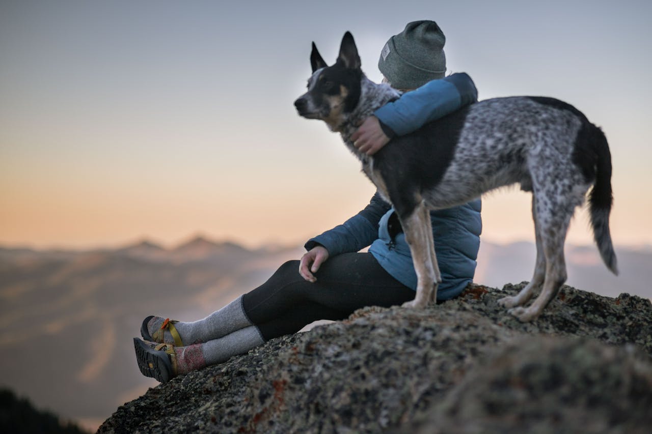 Hund Frau Berg Outdoor Was deckt eine Hundeversicherung ab